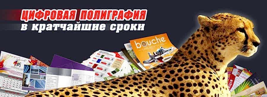 Полиграфическая продукция